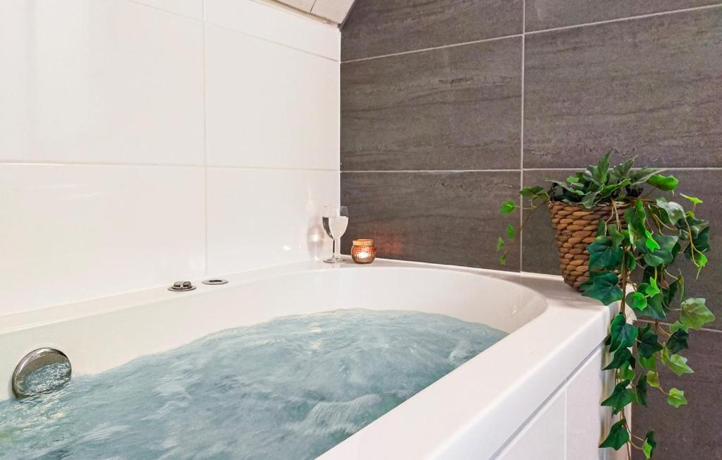 Vijverzicht 218 Met Whirlpool Gramsbergen Exterior foto